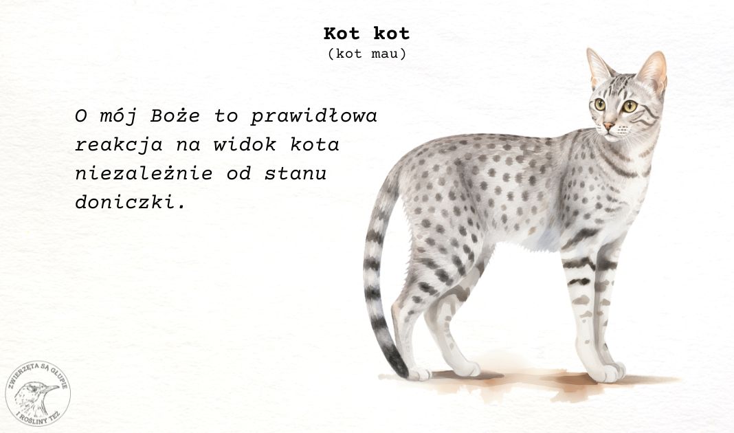 Obrazek posta