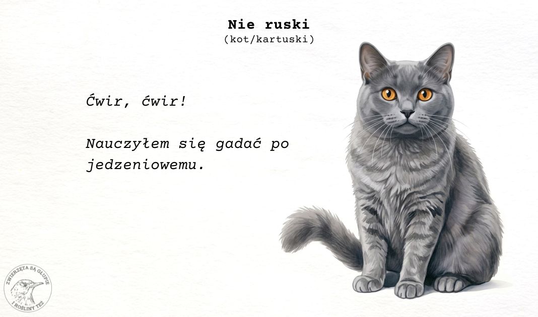 Obrazek posta