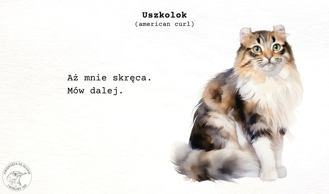 Obrazek posta