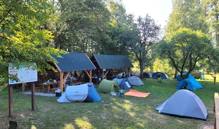 TataTour łosie na wypasie. Kampinoski PN