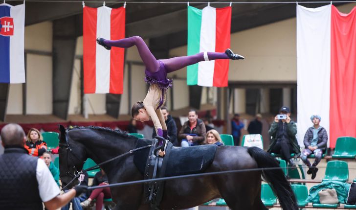 Na zawody międzynarodowe