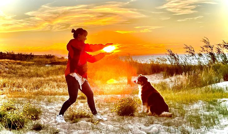 Świadomość opiekunów psów