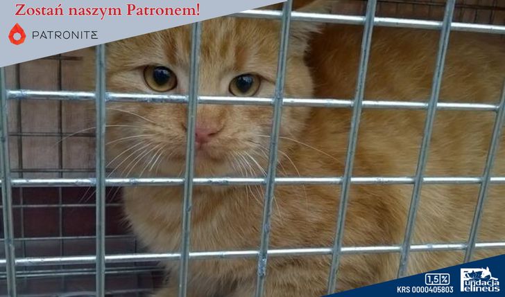 Powiedz STOP bezdomności!