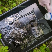 płukanie ambrotypu podczas sesji plenerowej :)