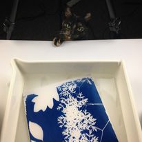 Mój mały asystent sprawdza czy odbitka cyjanotypowa już jest gotowa :)