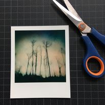 Zdjęcie z aparatu Polaroid zaraz zostanie poddane transferowi na papier :)