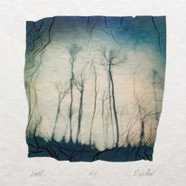 Polaroid transfer z projektu "My Woods"
