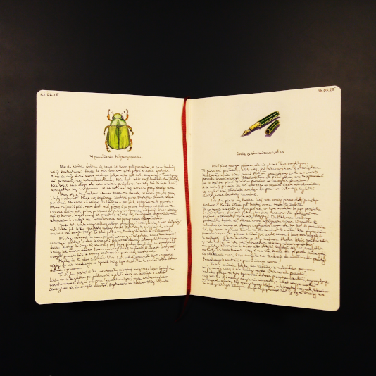 Wpis do zeszytu malarza