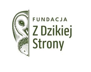 Avatar użytkownika