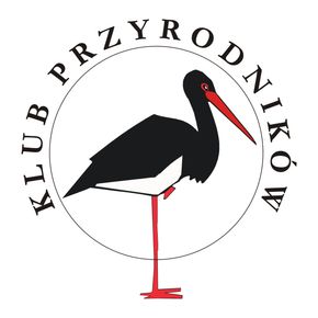 Avatar użytkownika