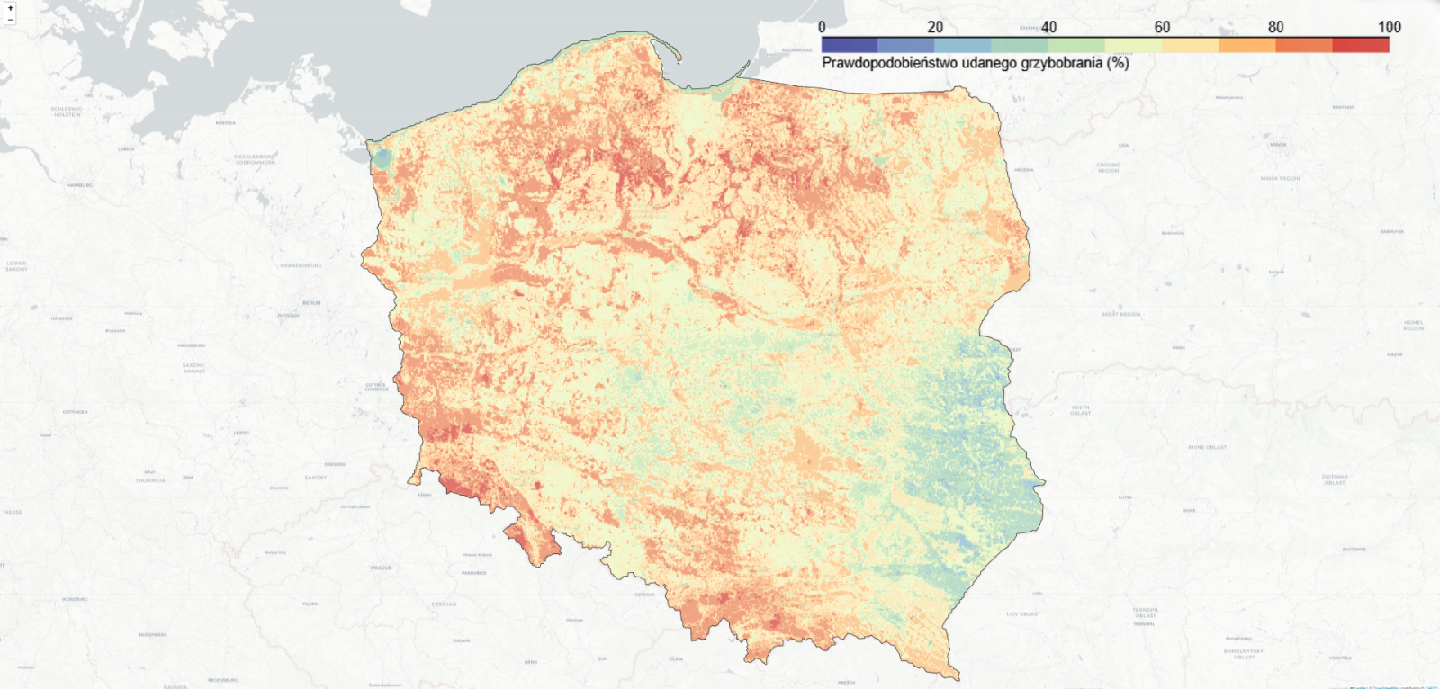 Mapa prawdopodobieństwa udanego grzybobrania, Polska 08.09.2025