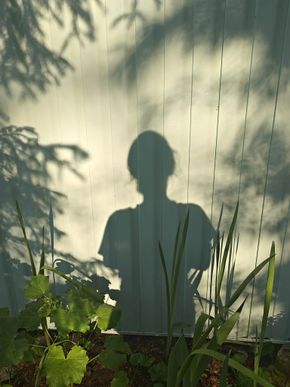 Avatar użytkownika