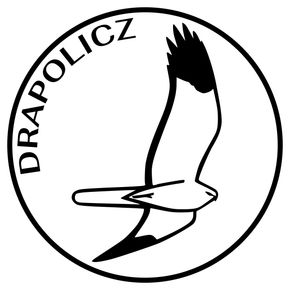 Avatar użytkownika