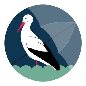 Avatar użytkownika