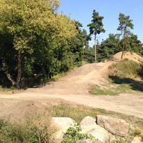 Oczyszczony start 4X