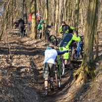 Powrót na górę - lasem