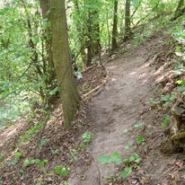 Ścieżka w lesie (2015)