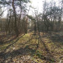 Puste miejsce... na nową trasę Air Line!