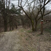 Air Line - marzec 2021