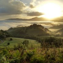 Szlak Św. Jakuba; Idziemy Dla Michała Vol I