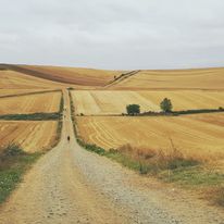 Szlak Św. Jakuba; Idziemy Dla Michała Vol I