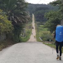 Szlak Św. Jakuba; Idziemy Dla Michała Vol I