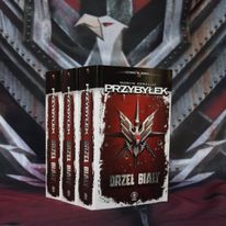 To zdjęcie wygląda jak wyjęte z photoshopa. Tymczasem nie wykonałem przy nim żadnej korekty. Ot, książki stojące na wielkiej fladze. Widzicie, jak ten orzeł się uśmiecha?