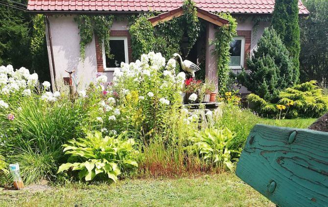 Artur CHLEBEK Ziemacki - Zielone Płuca Polski