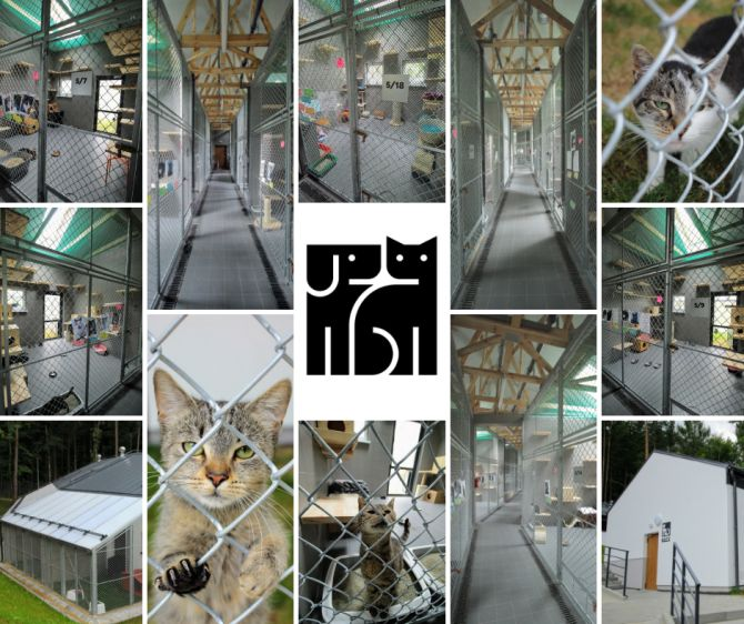 Sopotkowo - kociarnia