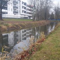 Kanał Trynka w Grudziądzu