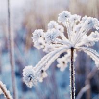 Kocham po prostu iść i robić zdjęcia, to mnie uspokaja