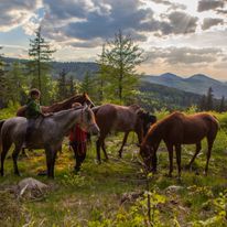 Nasze stado na spacerze