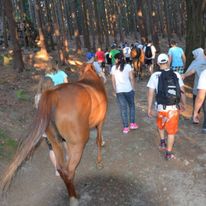Spacery z końmi na naszych obozach