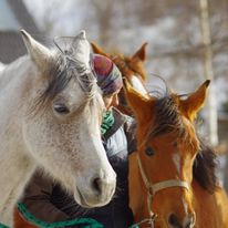 Feta z Graszką. Z tyłu nieodłączny Tuhaj-Bej