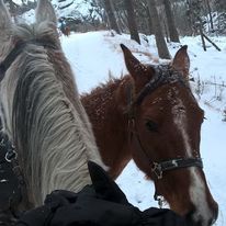 Krzyżyk pierwszy raz z siodłem w terenie