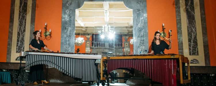 Dalbergia Duo in concert