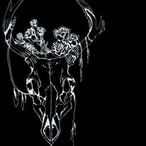 2019, czaszka jelonka