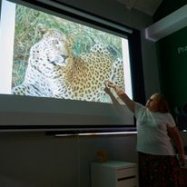 Program rozwojowy - inspirowanie młodszych