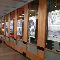 Program rozwojowy - wystawa prac