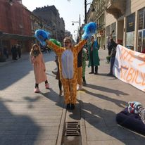 Maraton Dbam o Zdrowie