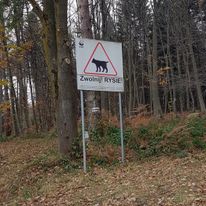 czasem  nawet uda mi się wyjechać na urlop  