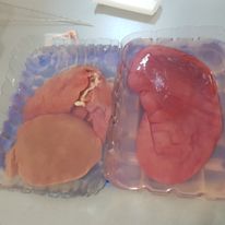 materiały szkoleniowe 