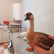 takich pacjentów też mamy 