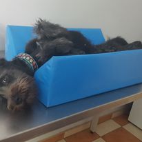 grzeczny pacjent przed USG 