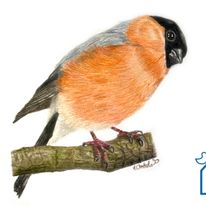 Jedna z grafik stworzonych przez naszą pracowniczkę :)