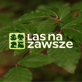 Avatar użytkownika