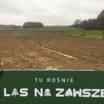 To Las Na Zawsze nr 1