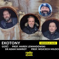 Ekotony, niedziela 16:00