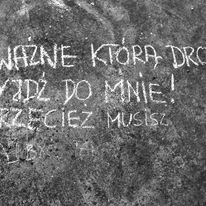 moje cytaty kredą