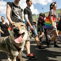 Działamy również w obszarze ekologii. Jesteśmy przyjaciółmi czworonogów!